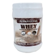 Nutrix Ultra Whey Protein Powder, 500 gm