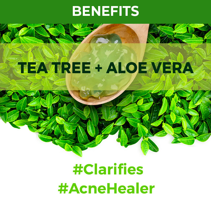 Nykaa Skin Secrets Tea Tree + Aloe Vera Sheet Mask for Clear & Moisturised Skin 20 ml | Tea Tree & Aloe Vera | For Clear & Moisturised Skin, Pack of 1 Nykaa Skin Secrets Tea Tree + Aloe Vera Sheet Mask for Clear & Moisturised Skin 20 ml | Tea Tree & Aloe Vera | For Clear & Moisturised Skin, Pack of 1
