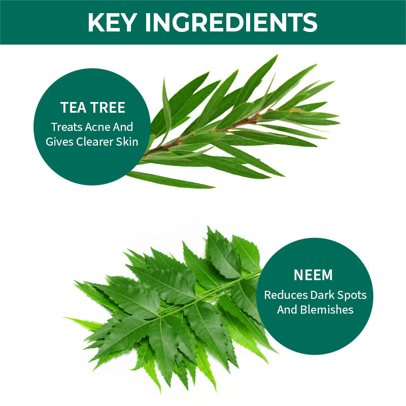 Nykaa Tea Tree & Neem Face Wash 100 ml | Tea Tree & Neem | Purifying | Deep Cleansing | For Acne Free & Healthy Skin | For Men & Women | For All Skin Type, Pack of 1 Nykaa Tea Tree & Neem Face Wash 100 ml | Tea Tree & Neem | Purifying | Deep Cleansing | For Acne Free & Healthy Skin | For Men & Women | For All Skin Type, Pack of 1