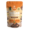 Origin Nutrition 100% Natural Vegan Protein Chocolate Flavour Powder, 770 gm