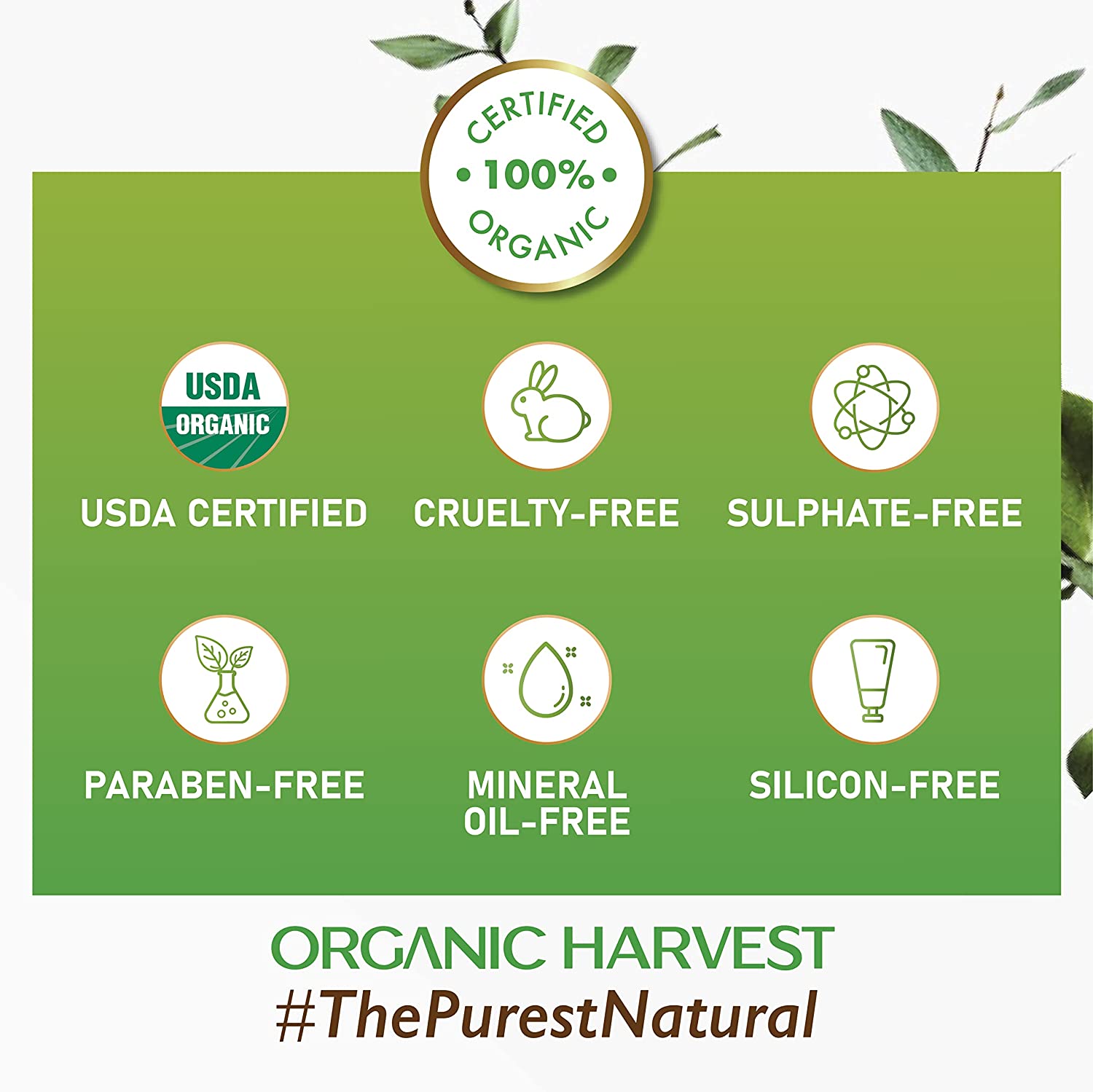 Organic Harvest Lavender Essential Oil 10 ml | 100% Certified Organic | For All Skin & Hair Type, Pack of 1 Organic Harvest Lavender Essential Oil 10 ml | 100% Certified Organic | For All Skin & Hair Type, Pack of 1