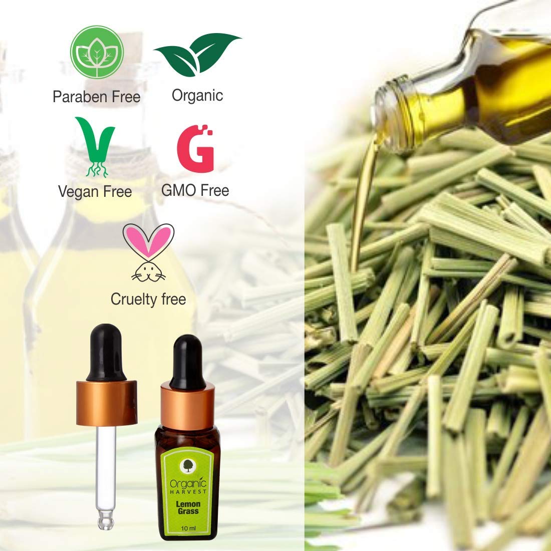 Organic Harvest Lemon Grass Essential Oil 10 ml | Pure Lemon Grass Oil | Treats Wrinkles | Pruifies Home | Skin Care Oil | Organic | For Oily Skin, Pack of 1 Organic Harvest Lemon Grass Essential Oil 10 ml | Pure Lemon Grass Oil | Treats Wrinkles | Pruifies Home | Skin Care Oil | Organic | For Oily Skin, Pack of 1