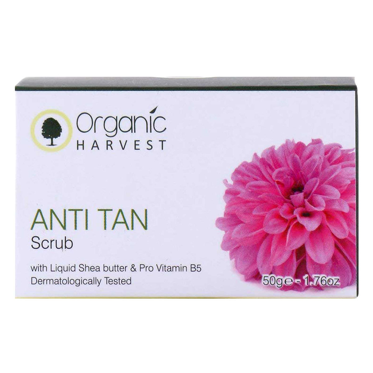 Organic Harvest Anti Tan Scrub 50 gm | With Liquid Shea Butter & Pro Vitamin B5 | Tan Removal, Pack of 1 Organic Harvest Anti Tan Scrub 50 gm | With Liquid Shea Butter & Pro Vitamin B5 | Tan Removal, Pack of 1
