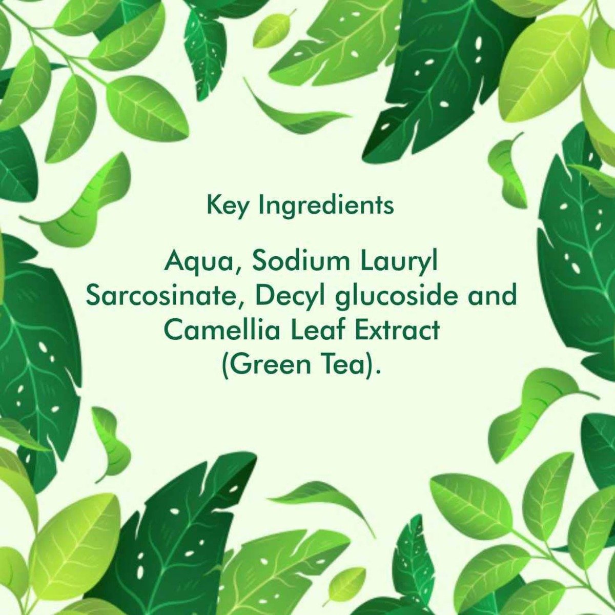 Organic Harvest Fresh & Glow Face Wash 100 gm | With Organic Green Tea | Hydrates Skin | Removes Impurities | Organic, Pack of 1 Organic Harvest Fresh & Glow Face Wash 100 gm | With Organic Green Tea | Hydrates Skin | Removes Impurities | Organic, Pack of 1