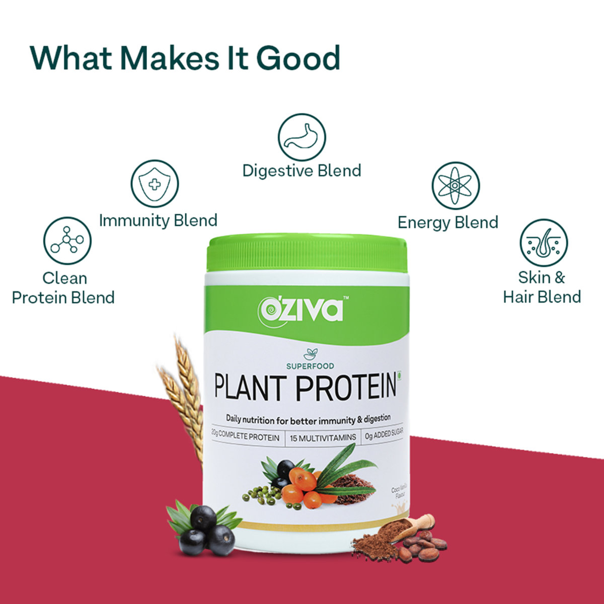 OZiva Super Food Plant Protein Coco Vanilla Flavour Powder, 250 gm, Pack of 1 OZiva Super Food Plant Protein Coco Vanilla Flavour Powder, 250 gm, Pack of 1