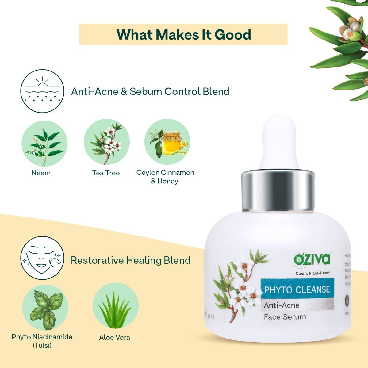OZiva Phyto Cleanse Anti-Acne Face Serum 30 ml | Ceylon Cinnamon, Phyto Niacinamide, Tea Tree | Controls Acne | Reduces Blemish | For Men & Women | For Oily, Combination, Acne Prone Skin & All Skin Type, Pack of 1 OZiva Phyto Cleanse Anti-Acne Face Serum 30 ml | Ceylon Cinnamon, Phyto Niacinamide, Tea Tree | Controls Acne | Reduces Blemish | For Men & Women | For Oily, Combination, Acne Prone Skin & All Skin Type, Pack of 1