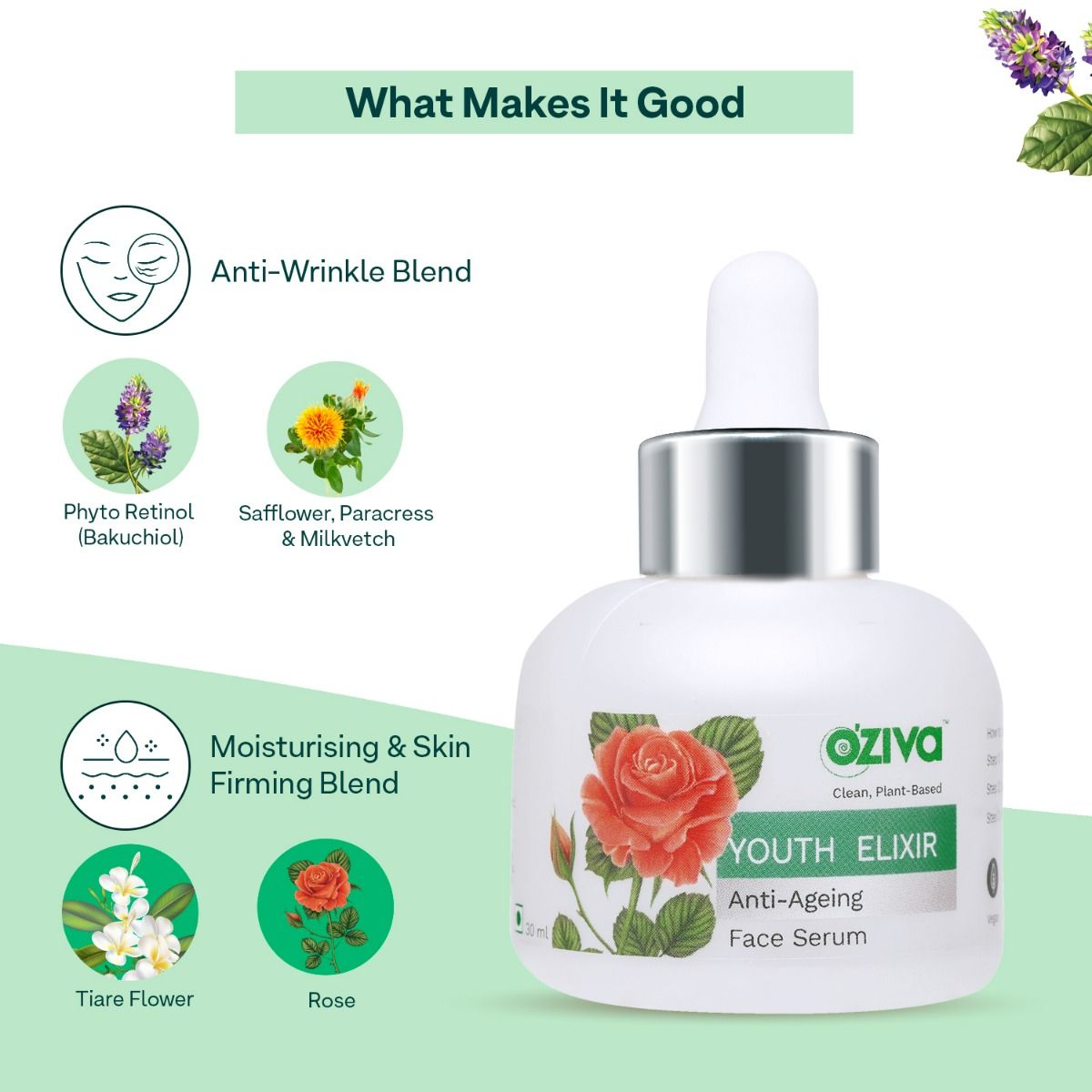 OZiva Youth Elixir Anti-Ageing Face serum, 30 ml, Pack of 1 