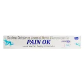 Pain OK Gel 30 gm, Pack of 1 GEL