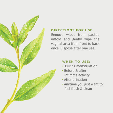 Pee Safe Natural Intimate Wipes, 10 Count, Pack of 1 Pee Safe Natural Intimate Wipes, 10 Count, Pack of 1