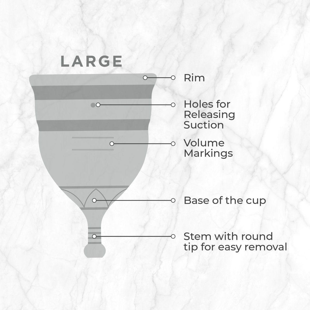 Pee Safe Reusable Menstrual Cup Large, 1 Count, Pack of 1 Pee Safe Reusable Menstrual Cup Large, 1 Count, Pack of 1