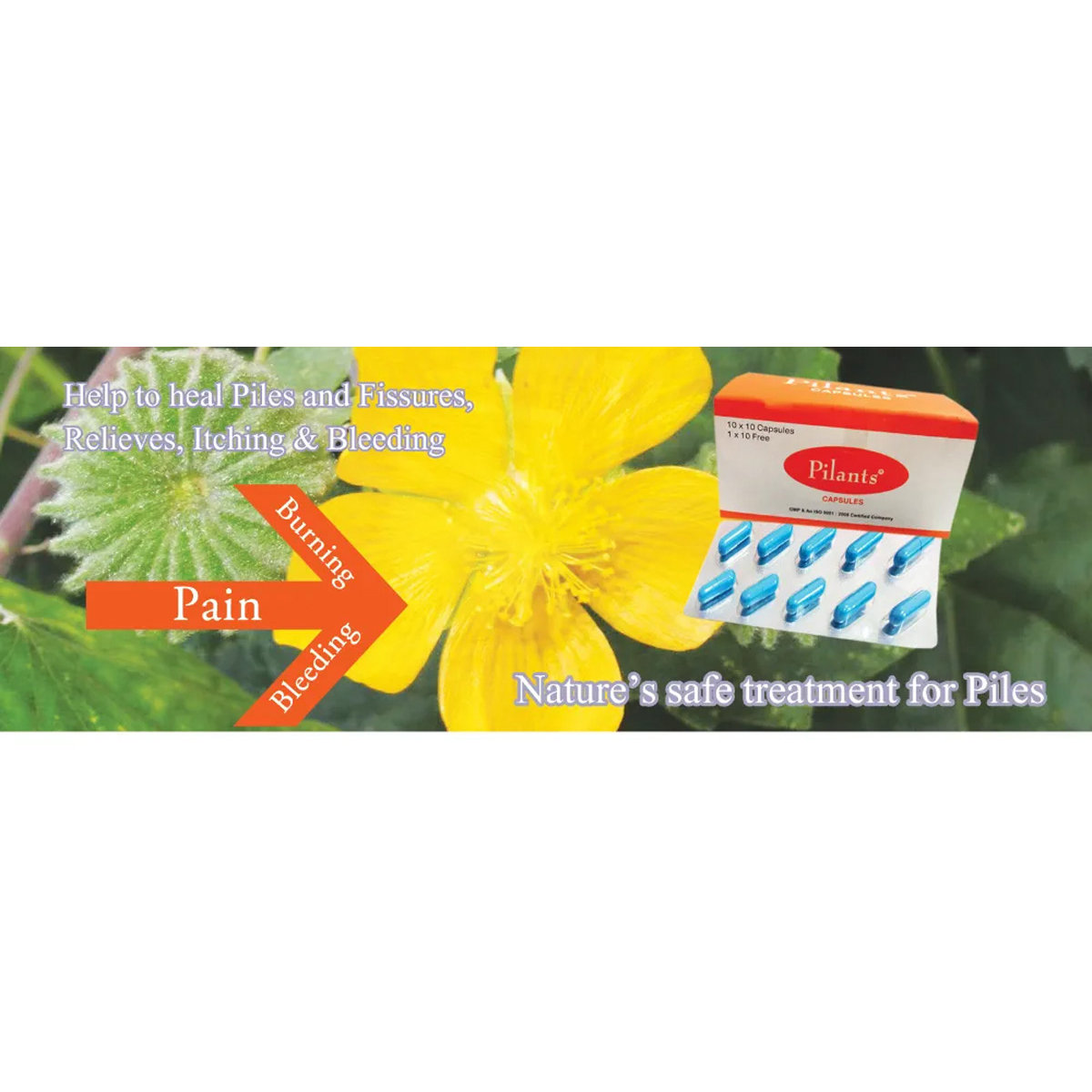Pilants, 10 Capsules, Pack of 10 Pilants, 10 Capsules, Pack of 10