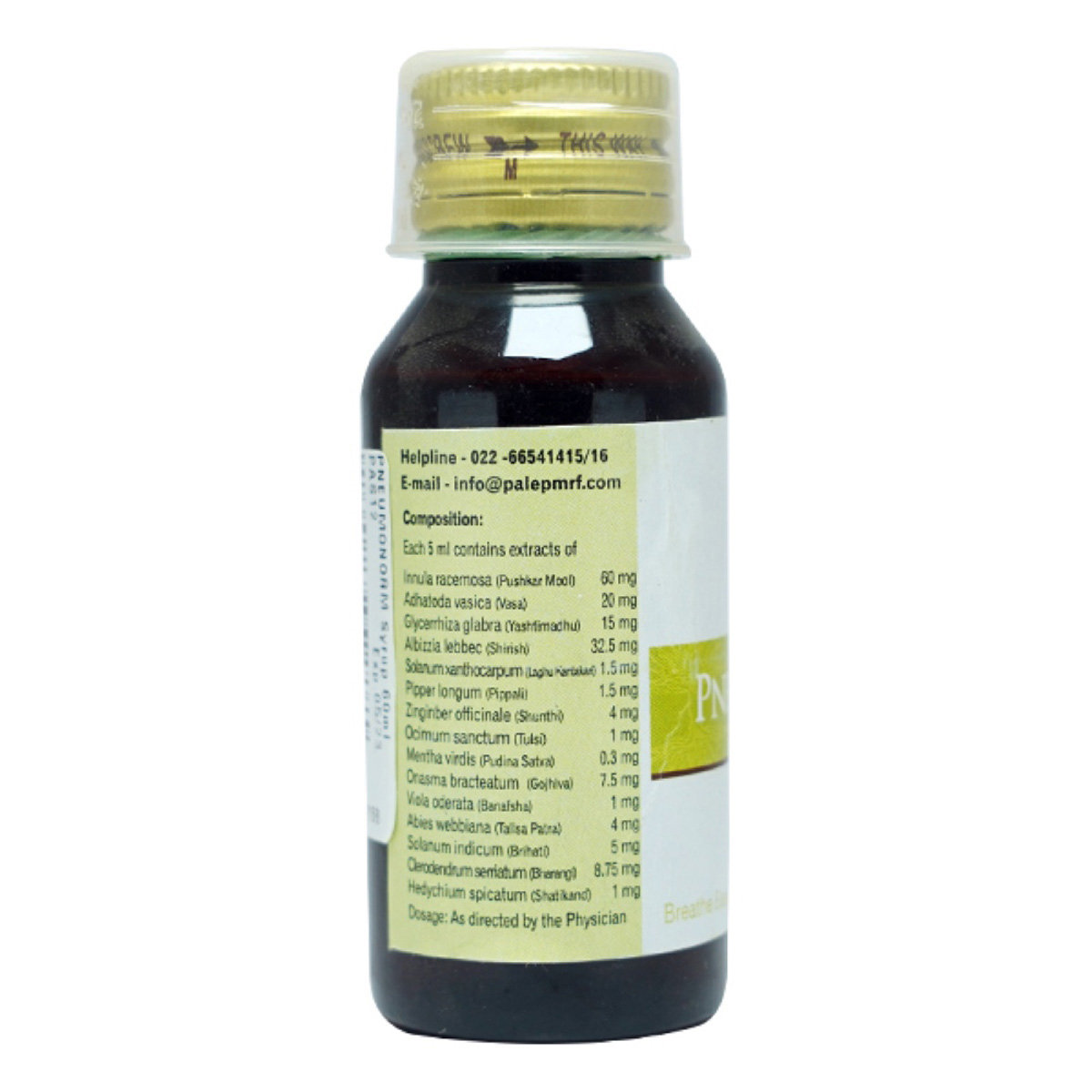 Dr.Palep's Pneumonorm Syrup, 60 ml, Pack of 1 Dr.Palep's Pneumonorm Syrup, 60 ml, Pack of 1