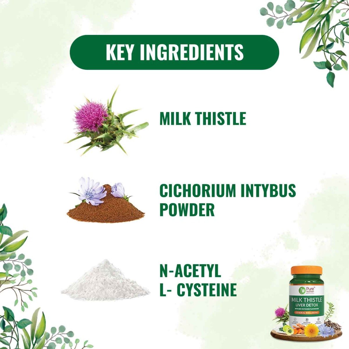 Pure Nutrition Milk Thistle Liver Detox 1100 mg, 60 Tablets, Pack of 1 Pure Nutrition Milk Thistle Liver Detox 1100 mg, 60 Tablets, Pack of 1