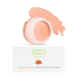 Pure Sense Grapefruit UV Protection Lip Balm, 5 gm