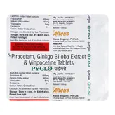Pyglo Tablet 15's, Pack of 15 TABLETS