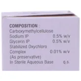 Raysoft Eye Drops 10 ml, Pack of 1 EYE DROPS