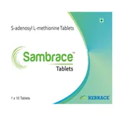 Sambrace 400 Tablet 10's, Pack of 10 TabletS