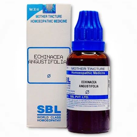 SBL Echinacea Angustifolia Q Mother Tincture, 30 ml