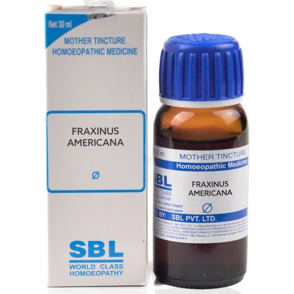 SBL Fraxinus Americana Q Mother Tincture, 30 ml