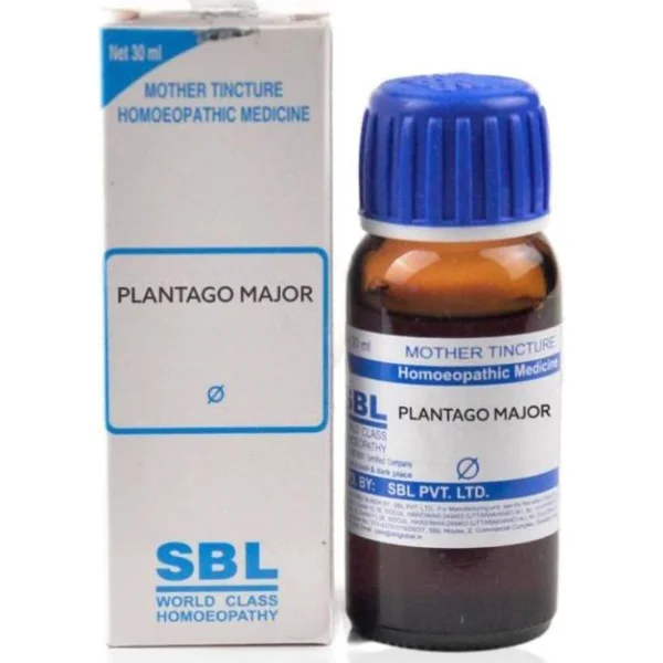 SBL Plantago Major Q Mother Tincture, 30 ml