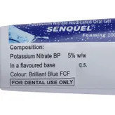 Senquel Oral Gel, 100 gm, Pack of 1