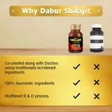 Dabur Shilajit for Vigour &amp; Health, 30 Capsules, Pack of 1