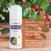 Siddhayu Painquit Natural Pain Relief Roll-On, 75 ml, Pack of 1