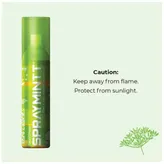 Spraymintt Saunf Shiver Mouth Freshener, 15 gm, Pack of 1