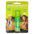 Spraymintt Elaichill Mouth Freshener, 15 gm