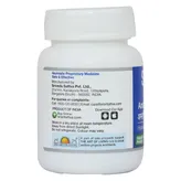 Sri Sri Tattva Amlapittari Vati 300 mg, 60 Tablets, Pack of 1