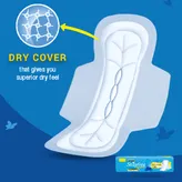 Stayfree Secure Dry Cover Pads with Wings Regular, 6 Count, Pack of 1