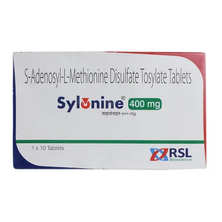 Sylonine 400 mg Tablet 10's