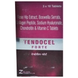 Tendocel Forte Tablet 10's