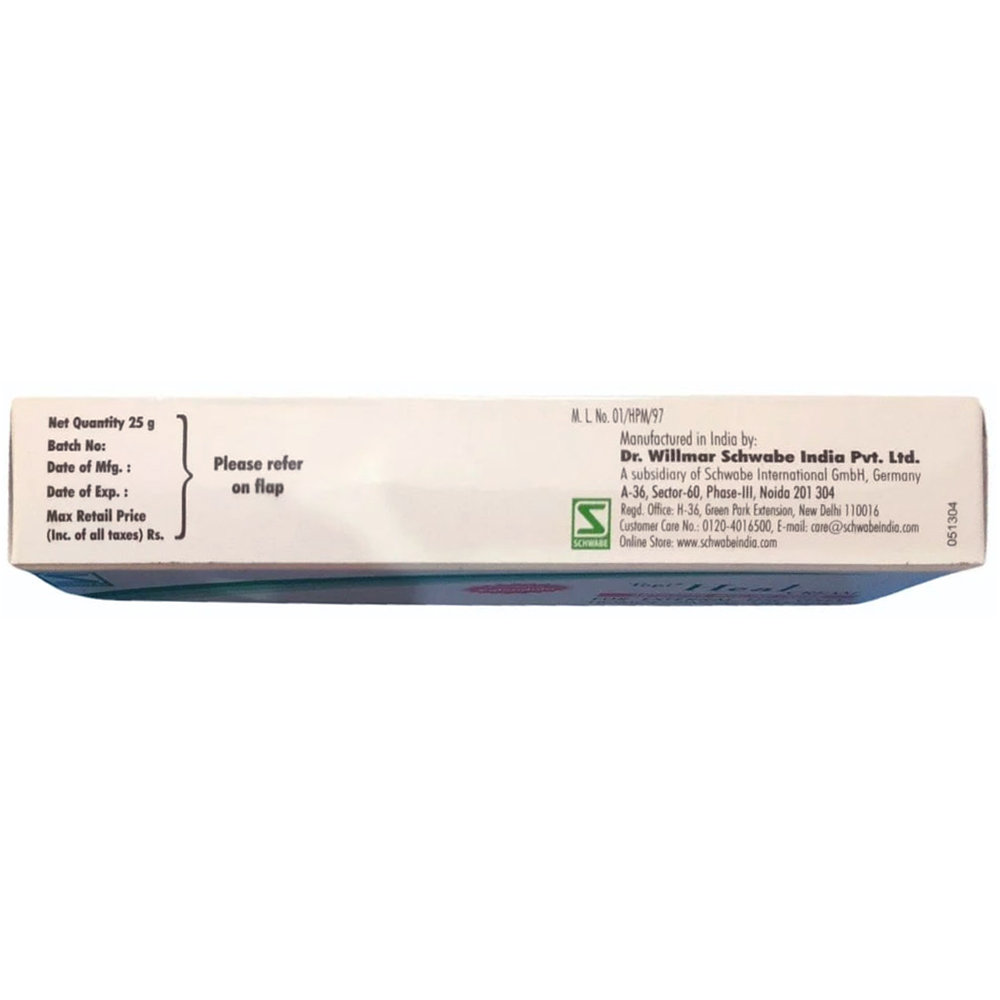 Dr.Willmar Schwabe Topi Heal Cream, 25 gm, Pack of 1 Dr.Willmar Schwabe Topi Heal Cream, 25 gm, Pack of 1