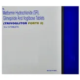 Trivoglitor Forte 2 Tablet 10's, Pack of 10 TABLETS