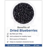 True Elements Dried Blueberries, 125 gm, Pack of 1