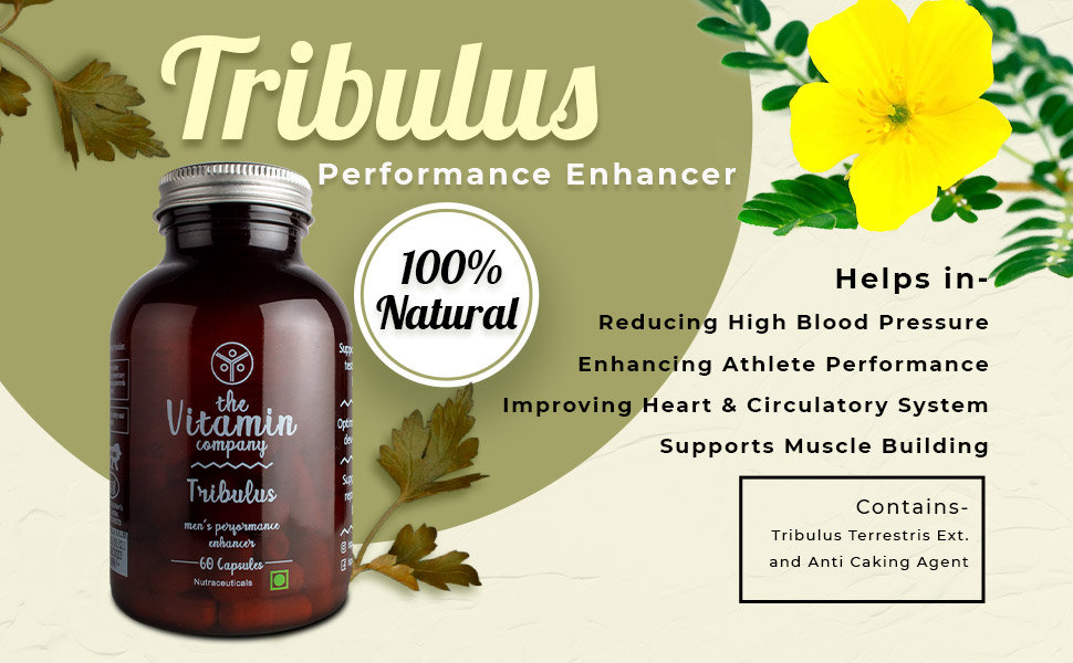 The Vitamin Company Tribulus, 60 Capsules, Pack of 1 The Vitamin Company Tribulus, 60 Capsules, Pack of 1