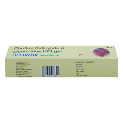 ULCIWOK MOUTH ULCER GEL 10GM, Pack of 1 GEL