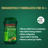 Baidyanath Vansaar Gut Relief Sugar Free Powder, 100 gm, Pack of 1