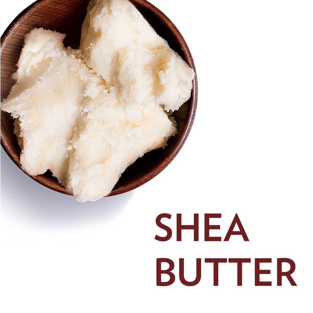 Vaseline Cocoa Butter Lip Care 10 gm | With 100% Pure Cocoa Butter | Long Lasting Intensive Moisturisation | Heal Dry, Dull & Cracked Lips | Gives Natural & Glossy Shine, Pack of 1 Vaseline Cocoa Butter Lip Care 10 gm | With 100% Pure Cocoa Butter | Long Lasting Intensive Moisturisation | Heal Dry, Dull & Cracked Lips | Gives Natural & Glossy Shine, Pack of 1