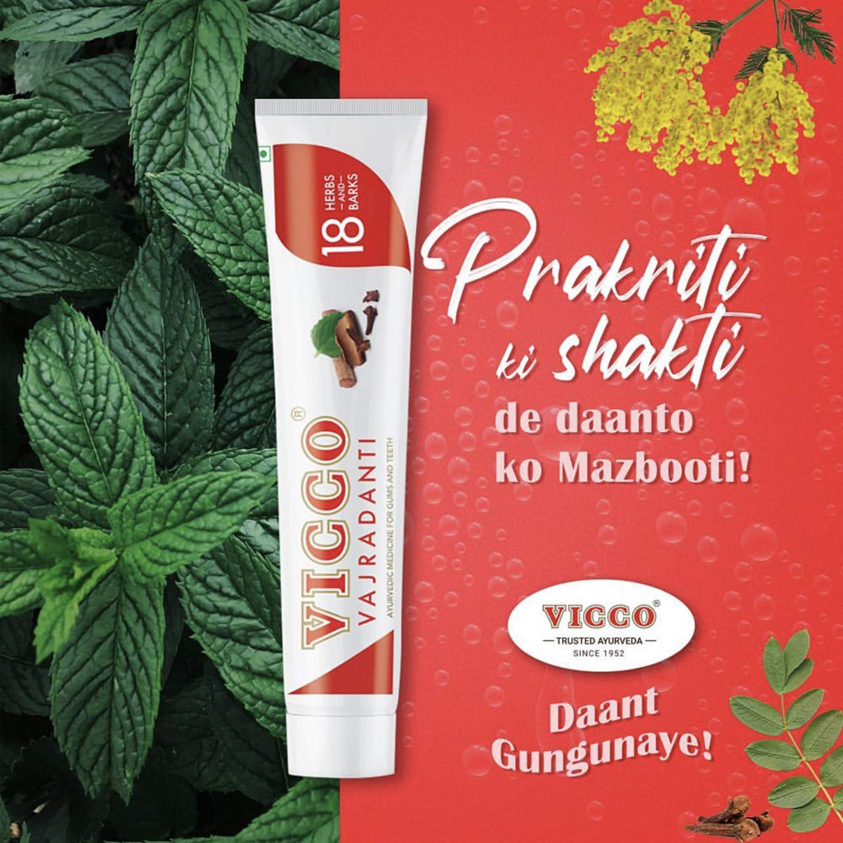 Vicco Vajradanti Ayurvedic Toothpaste, 150 gm, Pack of 1 Vicco Vajradanti Ayurvedic Toothpaste, 150 gm, Pack of 1