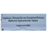 Voglinorm-GM 2 Tablet 15's, Pack of 15 TABLETS