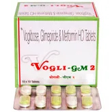 Vogli-GM 2 Tablet 10's, Pack of 10 TABLETS