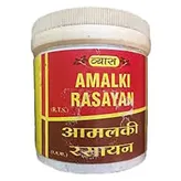 Vyas Amalki Rasayan Powder, 100 gm, Pack of 1