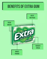 Wrigleys Extra Spearmint Sugarfree Gum, 15 Count, Pack of 1
