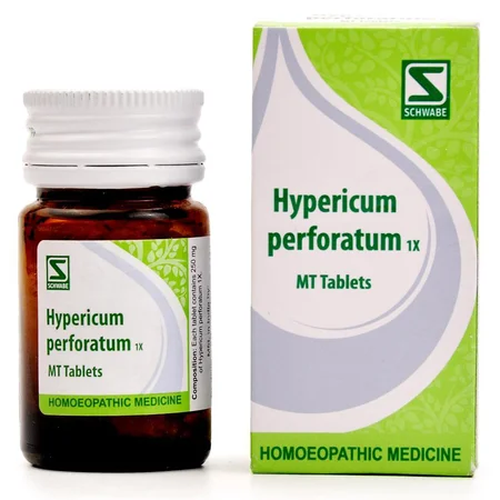 Dr.Willmar Schwabe Hypericum Perforatum 1X Tablets, 20 gm