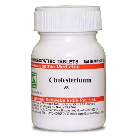 Dr.Willmar Schwabe Cholesterinum 3X Tablets, 20 gm