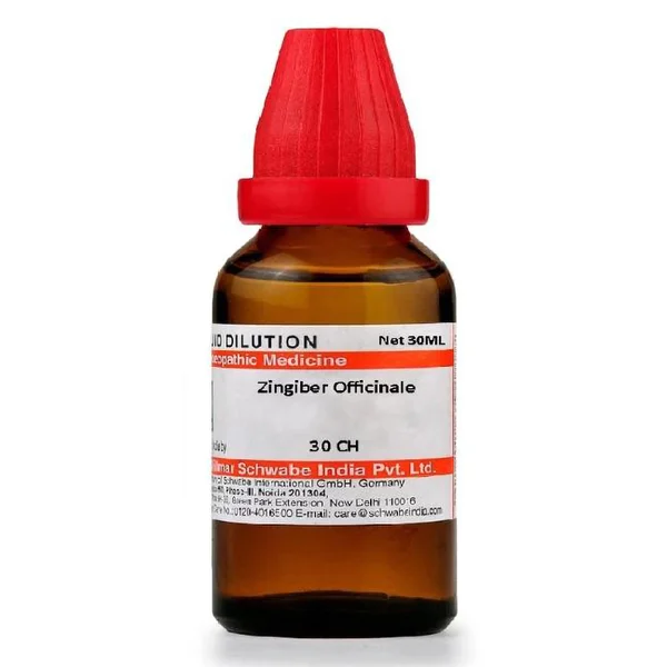 Dr.Willmar Schwabe Zingiber Officinale 30 CH Dilution, 30 ml, Pack of 1