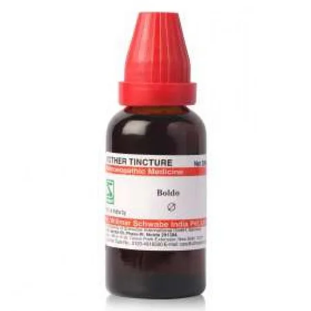 Dr.Willmar Schwabe Boldo Q Mother Tincture, 30 ml
