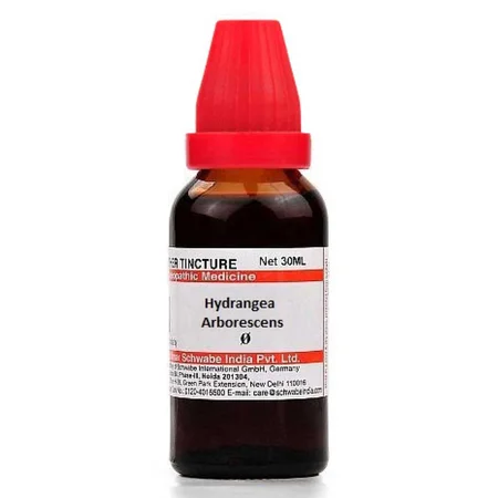 Dr.Willmar Schwabe Hydrangea Arborescens Q Mother Tincture, 30 ml